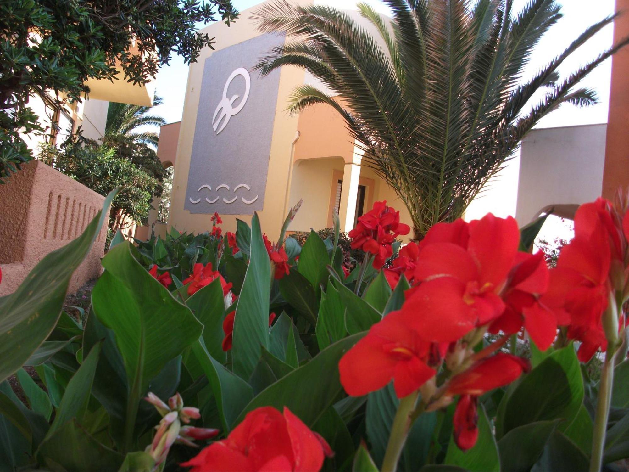Almyra Apartments & Suites Sfáka Exterior foto